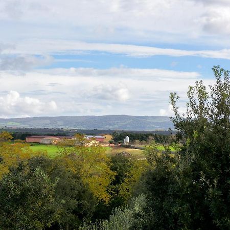 Agriturismo Nuragh'Elighe Sindia Extérieur photo