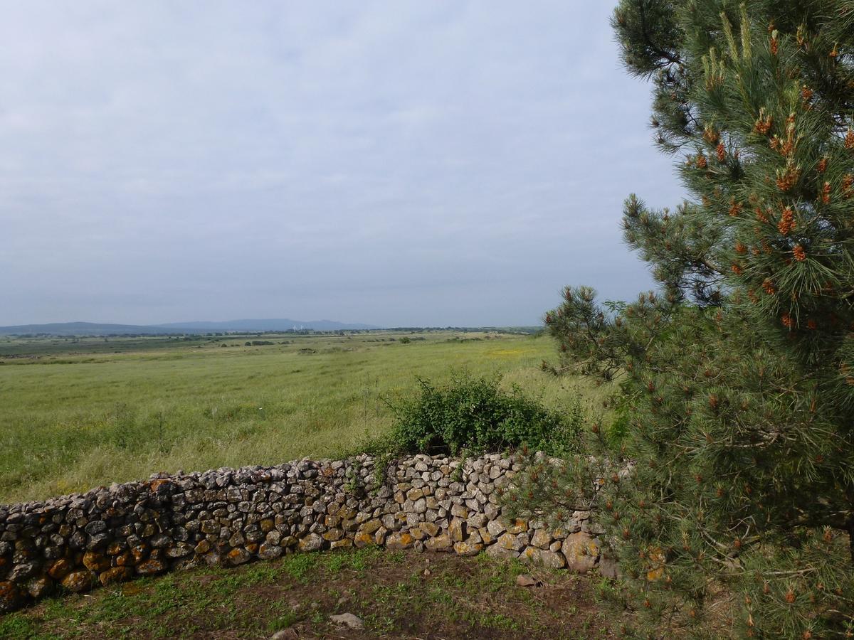 Agriturismo Nuragh'Elighe Sindia Extérieur photo