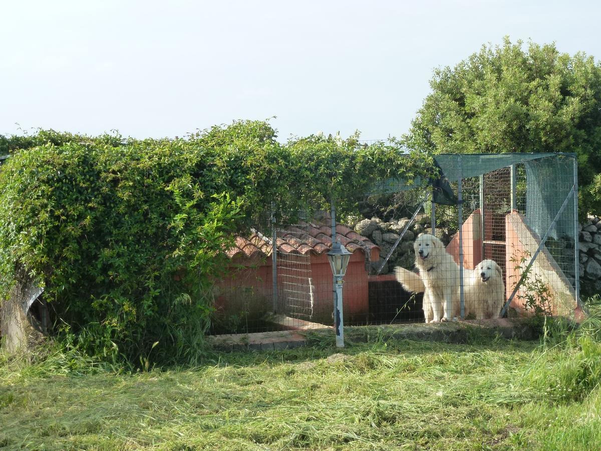 Agriturismo Nuragh'Elighe Sindia Extérieur photo